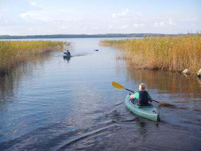 Kajakkiviesti